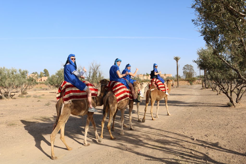 Kamelentour Marrakech